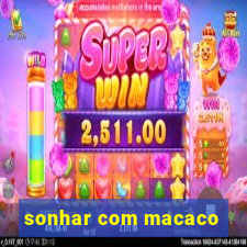 sonhar com macaco